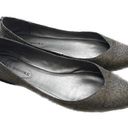 Audrey Brooke  CICI Metallic Textile Ballet Flats Pointy Toes Women’s size 8 Photo 0