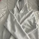 Aritzia Cozy Fleece Perfect Fit Hoodie Photo 1