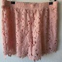 Lane Bryant  Pink Lace shorts, size 18/20 Photo 0