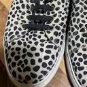 Jack Rogers  Women's Rory Sneaker Lace-Up Round Toe Black/White‎ Dots Size 8M Photo 8