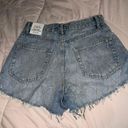 ZARA Shorts Photo 1