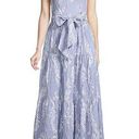 Lilly Pulitzer Aviana Maxi Dress Photo 1