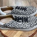 Jack Rogers  Women's Rory Sneaker Lace-Up Round Toe Black/White‎ Dots Size 8M Photo 2