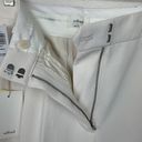 Wilfred  Womens 2 xs Carrot pants casual light birch white new nwt work slacks ar Photo 6