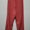 Lane Bryant  Allie spice tailored ankle belted pants size 24 Photo 2