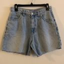 Pilcro NWT  x Anthropologie High Rise Pleated Denim Jean Shorts Size 28 Photo 0