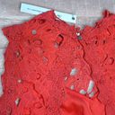 She & Sky  Floral Lace Overlay Mini Dress NEW Juniors L Open Back Coral Photo 5