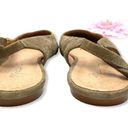 Madewell  April Suede Leather Ankle Wrap Ballet Flat: Tan Photo 5