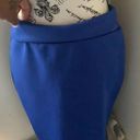 Royal Blue Skirt Size L Photo 2