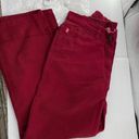 Woman Within NWT size 12WP  burgundy straight leg jeans Photo 1