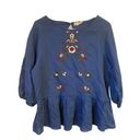 Hidden Alley  size large blue Bohemian blouse Photo 1