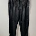 Dynamite  Faux Leather Paperbag Pants Size 8 Photo 1