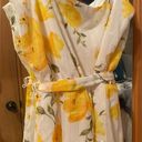 Crystal Doll COPY -  Springtime Sundress w/ Tie.  EUC! Photo 2