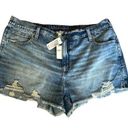 Aerie Stretch Jean Shorts Photo 0