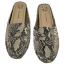 Isaac Mizrahi Live! Alicia Snake Embossed Mule Slide Loafer Womens Size 11M Photo 2