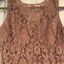 BB Dakota Pink Floral And Lace Bodycon Dress Photo 1