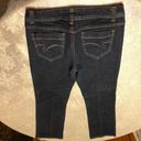 Gloria Vanderbilt  size 8 Isabelle Flare Jeans Photo 1