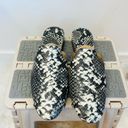 Jack Rogers  Delaney Snake Print Women's Slip-On Mules size 6.5 Photo 2