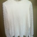 Ling Sleeve Turtleneck Blouse Size XL Photo 1