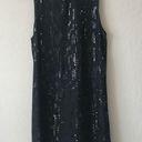 Michael Stars  Silk Sequin Dress Photo 7