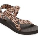 Arizona Jeans Arizona Womens Judith Strap Sandals outdoor animal print activewear shoe Sz 11M Photo 0