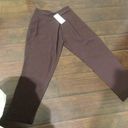 ZARA NWT  Brown Pants Photo 2