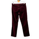 Day & Night Sundance  Velveteen Jeans Pants Purple Size P6 Petites Photo 4