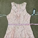 XScape  Lace Fit & Flare Dress Blush Pink 2 Photo 9