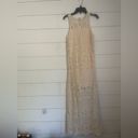 BB Dakota Crochet You Love Me Beige Crocheted Sleeveless Maxi Dress  by Steve Photo 5