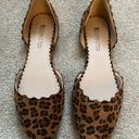 Restricted Shoes Woman's Leopard Flat Shoes Size 9 Photo 0