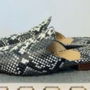 Jack Rogers  Delaney Snake Print Women's Slip-On Mules size 6.5 Photo 3