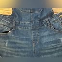 Wax Jean Wax Denim Distressed Overall Jeans, 1X Photo 6