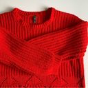 Alya  Cable Knit Chunky Bright Red Crew Neck Long Sleeve Crop Sweater Size Medium Photo 4