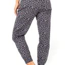 Celebrity Pink  Junior Ladies High Rise Grey Leopard Print Stylish Jogger SZ XS Photo 2