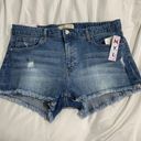 New York Laundry NYL Jean Shorts Photo 1