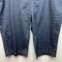 Terra & Sky  Pull On Crop Gray Women's High Rise Pants Size 3X Photo 3