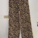 Nordstrom NWT  leopard print pajama pants S 100% cotton Photo 4