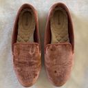 Birdies  Starling Rust Velvet Loafers Photo 0