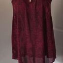 Juicy Couture  burgundy/Blk w/ silver dot embellishments cut-away top EUC SZ XS Photo 2