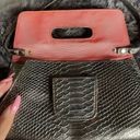 Big Buddha  Metallic silver Snake Skin Clutch Photo 3