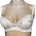 Felina  Lingerie Women’s 32D Cream Ivory Nude Lace Lightly Padded Underwire Bra Photo 0