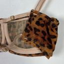 We Are HAH NWT  Wired Bra in Lanka Leopard Print Size 30-38B NEW Photo 7