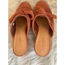 American Eagle Outfitters Womens Shoes Clogs Heels Size 8 Corduroy Bows Brown Photo 4