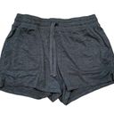 32 Degrees Heat 32 Degrees Cool Womens Lightweight Semi Fitted Fleece Dark Gray Shorts Size M Photo 0