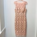 Bisou Bisou  Blush Pink Lace dress sz 8 Photo 5