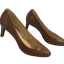 Ralph Lauren New Lauren  Harper brown snakeskin effect almond toe pumps size 8 Photo 1