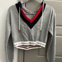 Tommy Hilfiger Urban Outfitters  Cropped Sweatshirt Photo 1