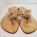 Daisy Sara Stewart Brown  Sandals Size 8 Photo 4