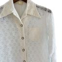 Daisy Vintage 70s  lace ruffle off white wide collar button down blouse size M Photo 8