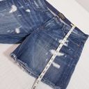 Dahlia Cult of Individuality Distressed  Short Photo 6